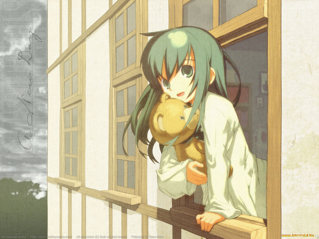 , kino, no, tabi